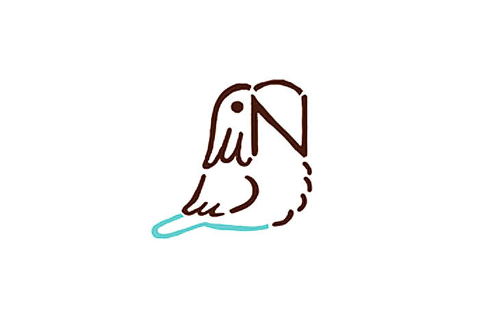 字母简笔画N小鹦鹉简笔画教程