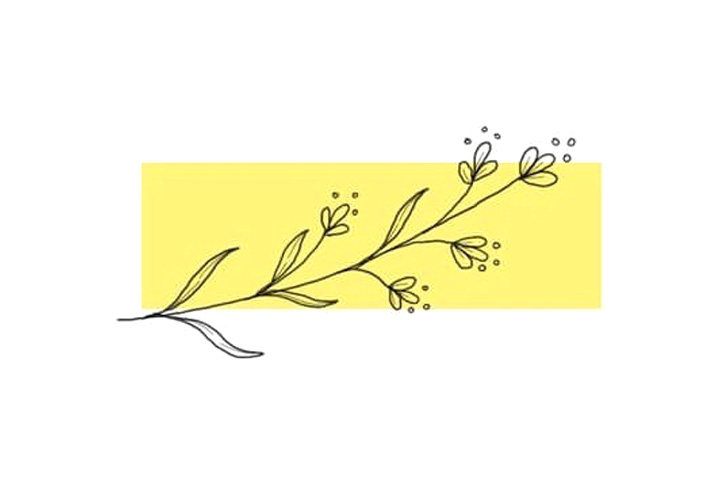 植物花草简笔画10种漂亮的小花简笔画