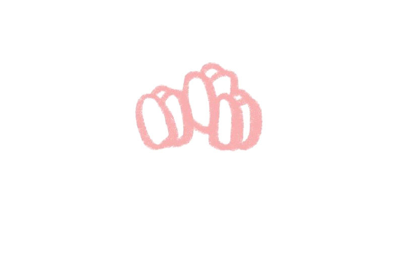 春天的花郁金香的简笔画画法步骤