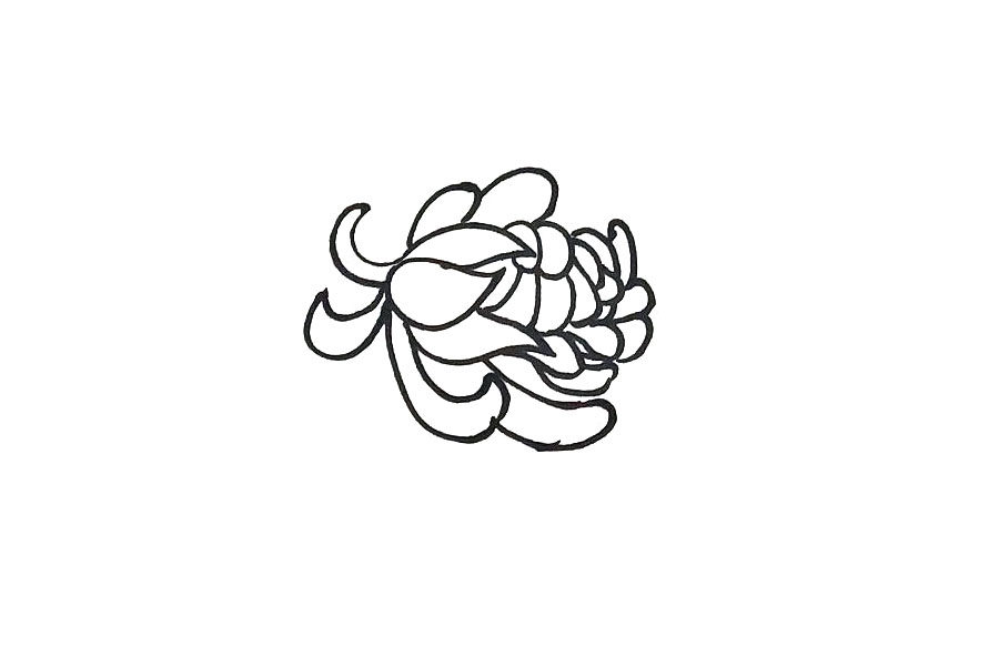 九月菊花简笔画画法