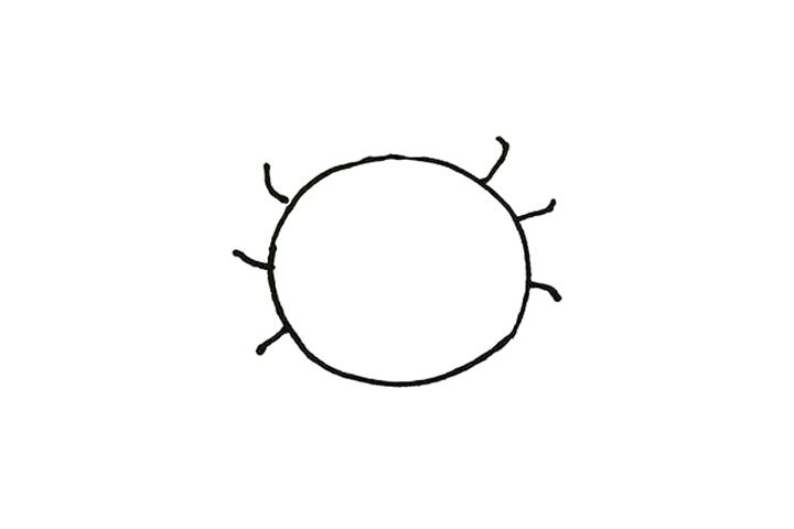 简单漂亮的七星瓢虫简单画法