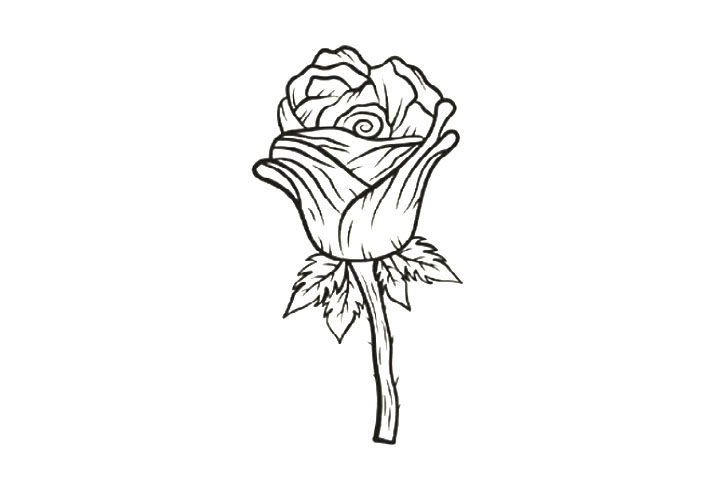 8种玫瑰花的画法