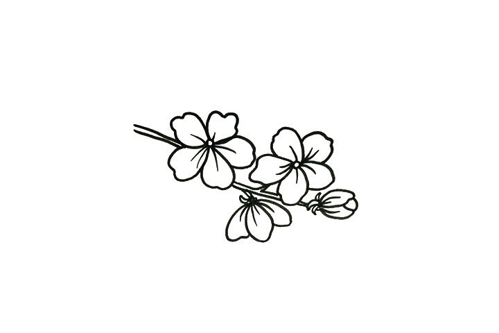 漂亮的桃花简笔画步骤