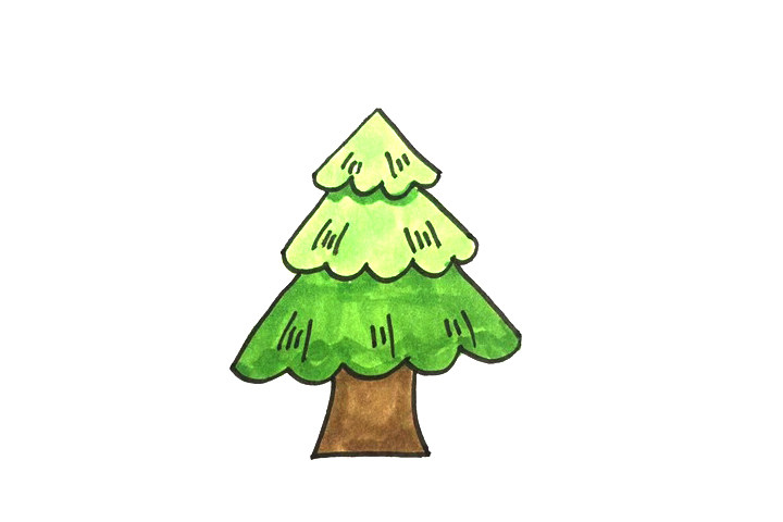 植物简笔画大全 松树怎么画