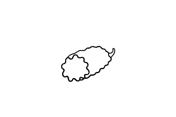 苦瓜简笔画怎么画