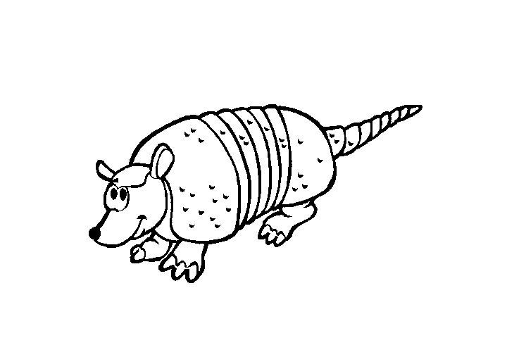 犰狳简笔画图片