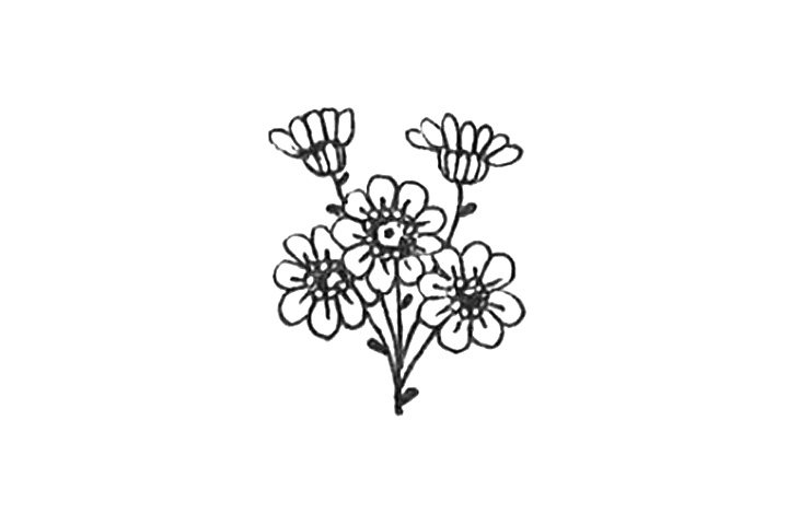 23种漂亮小花简笔画图片