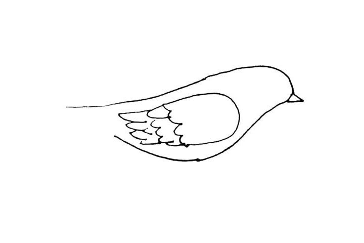 黄鹂简笔画画法步骤