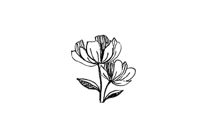 23种漂亮小花简笔画图片