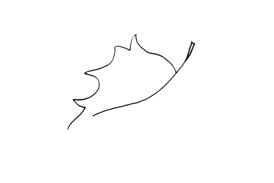秋天落叶怎么画