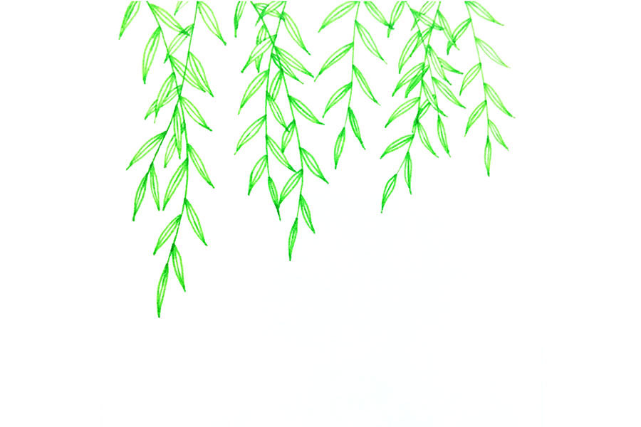 如何画春天的藤蔓植物