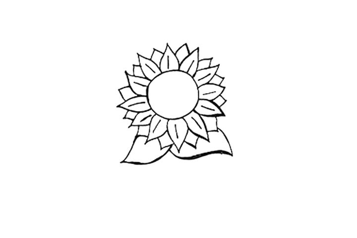 向日葵简笔画画法图解