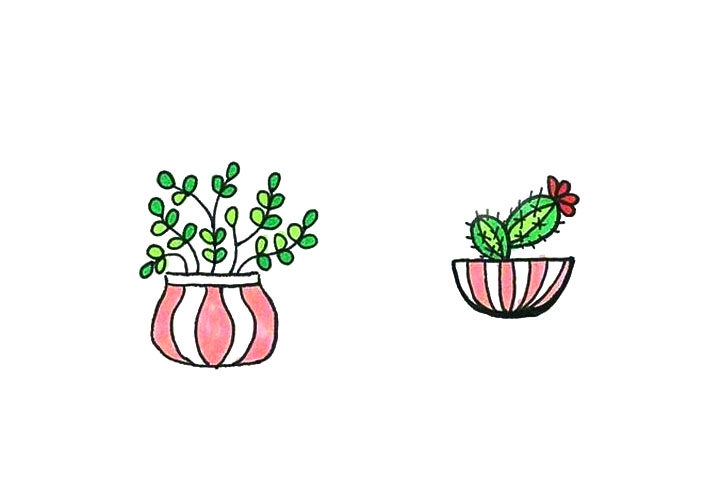 漂亮的小盆栽简笔画图片3