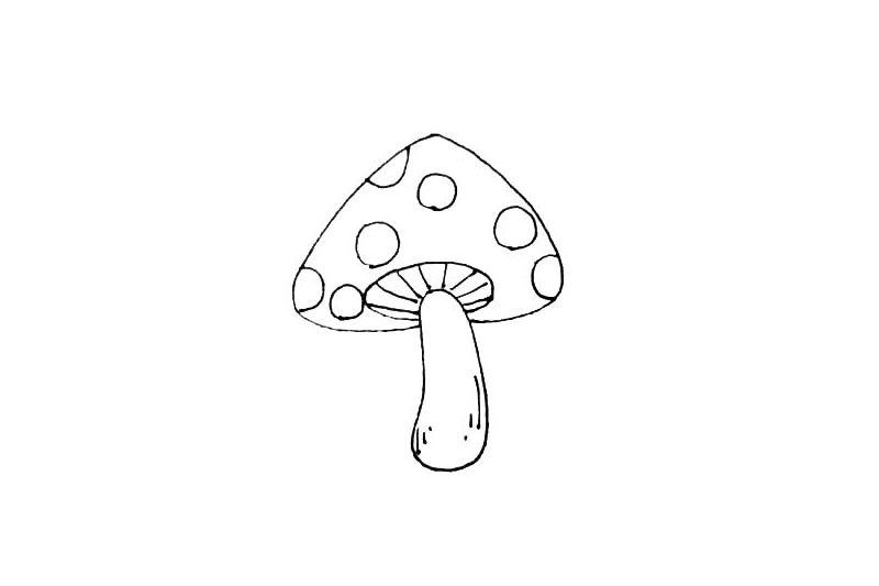 漂亮的蘑菇简笔画画法