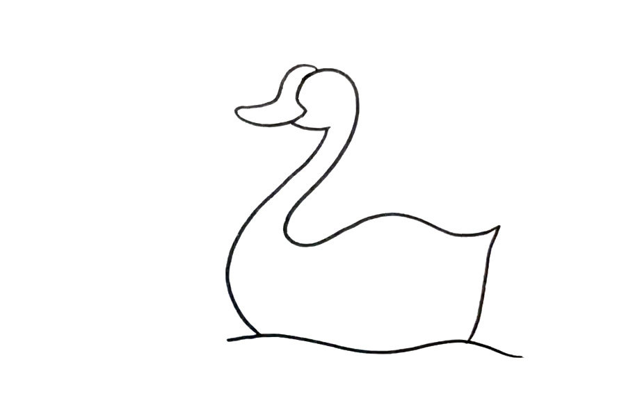 天鹅的画法