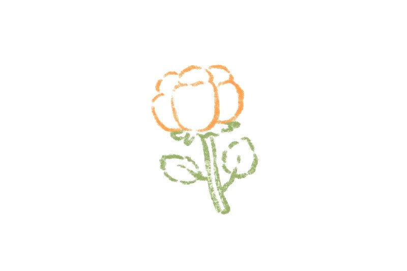 一朵漂亮的小花花怎么画
