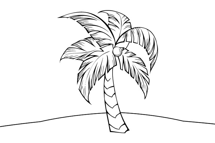 热带棕榈树简笔画图片