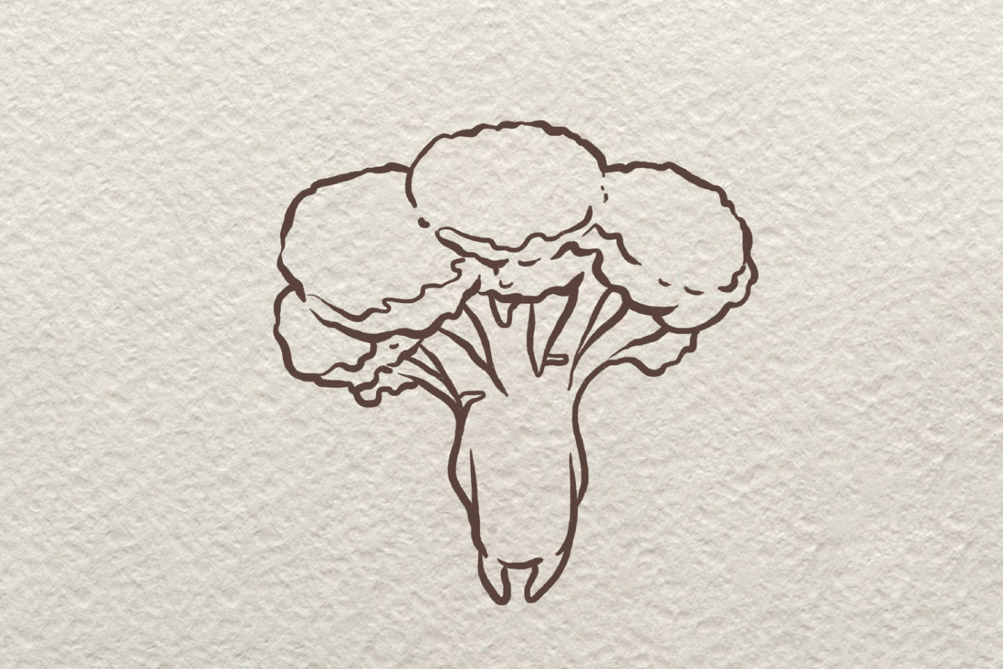 卡通西兰花简笔画画法步骤