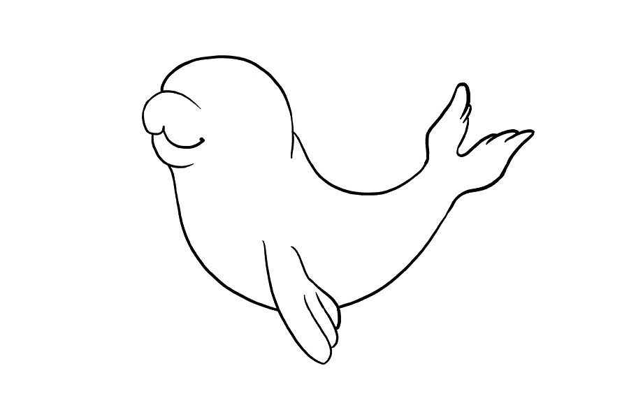 如何画海豹宝宝