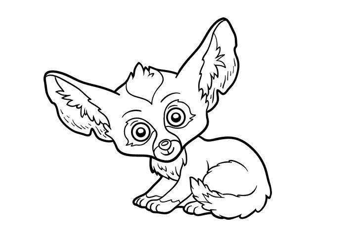 各种野生动物的画法
