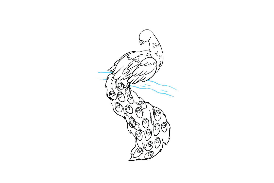 孔雀怎么画