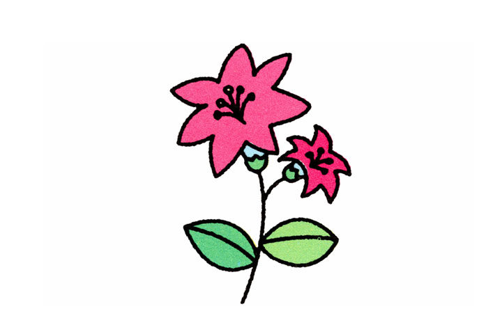 百合花的简笔画画法