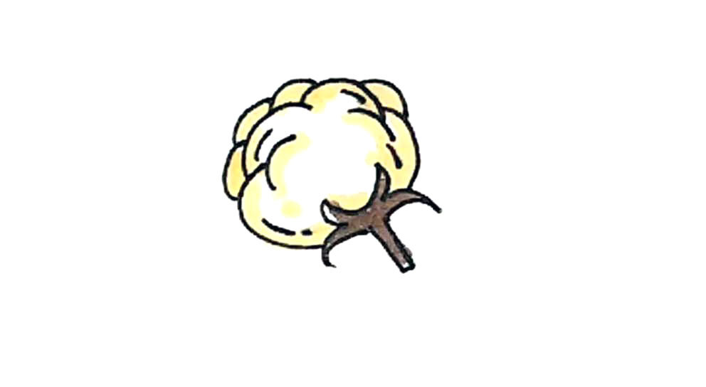 棉花简笔画画法步骤