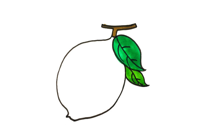 简单的柠檬简笔画画法