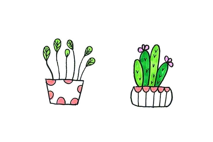 漂亮的小盆栽简笔画图片4