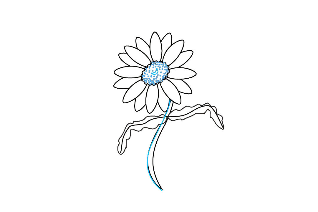 如何画雏菊花简笔画步骤
