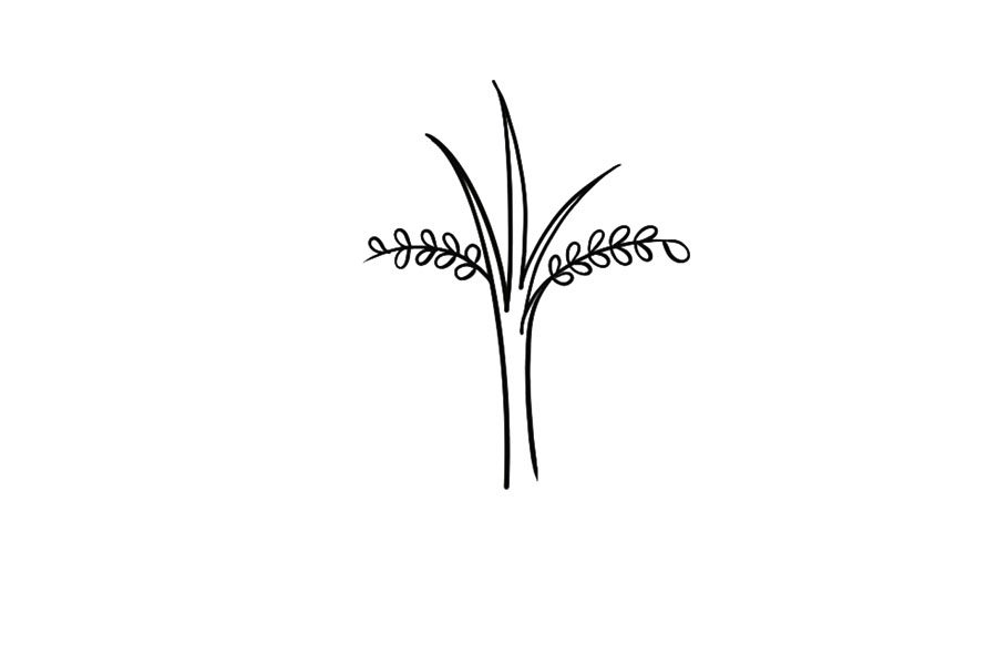 植树节简笔画大全 一起来植树