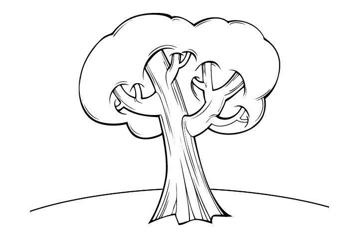 简单好画的树木简笔画