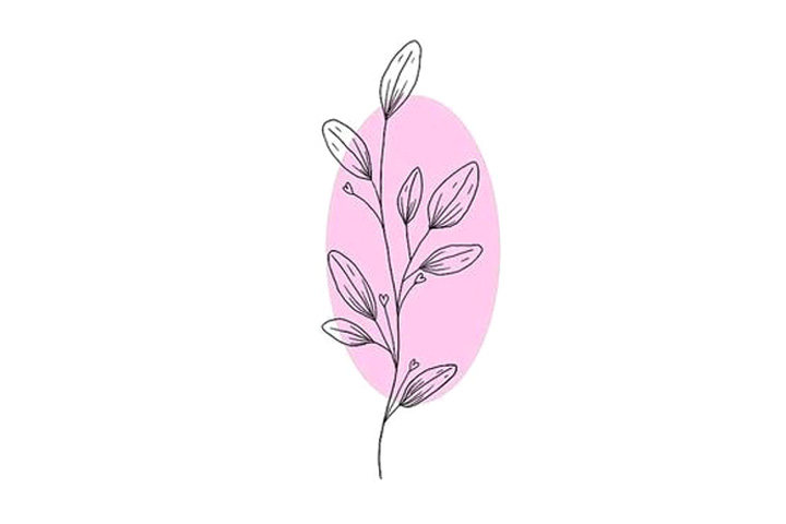 植物花草简笔画12种漂亮的小草简笔画图片