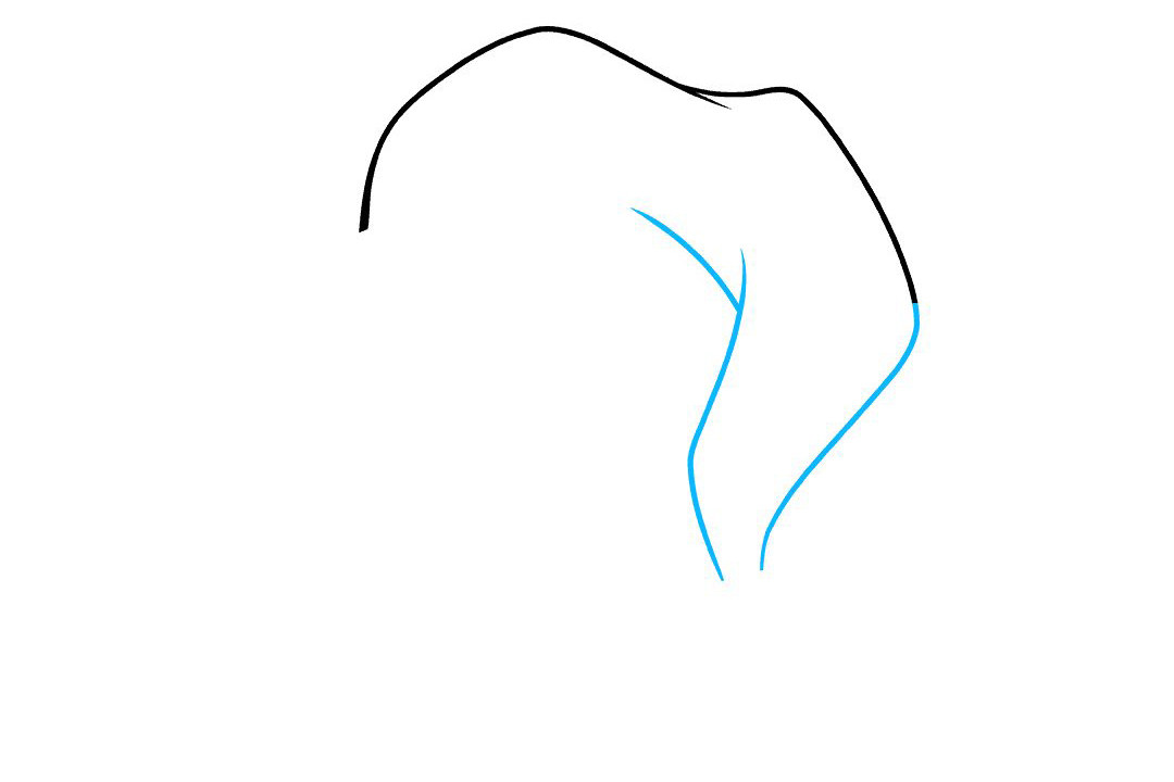 圣诞帽怎么画