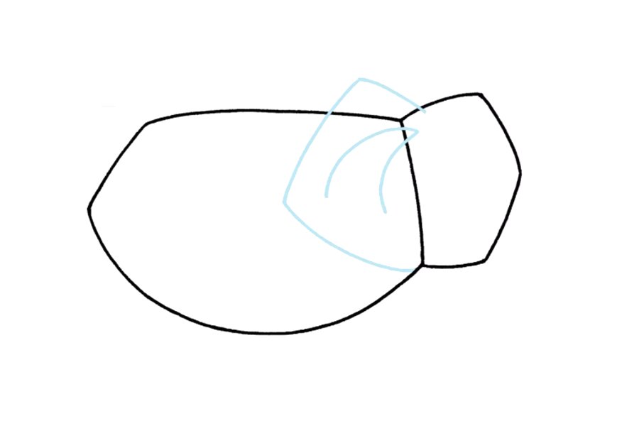 大象的简笔画步骤