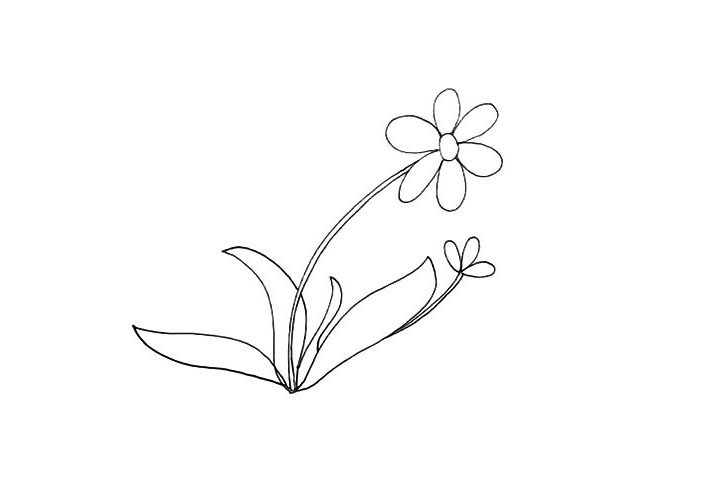 太阳花简笔画画法步骤