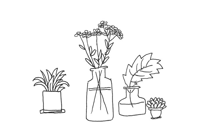 一组漂亮的植物简笔画图片
