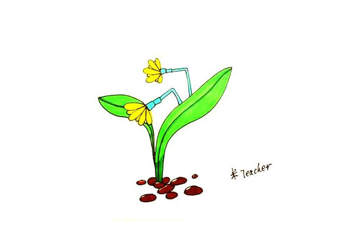 水仙花简笔画画法步骤