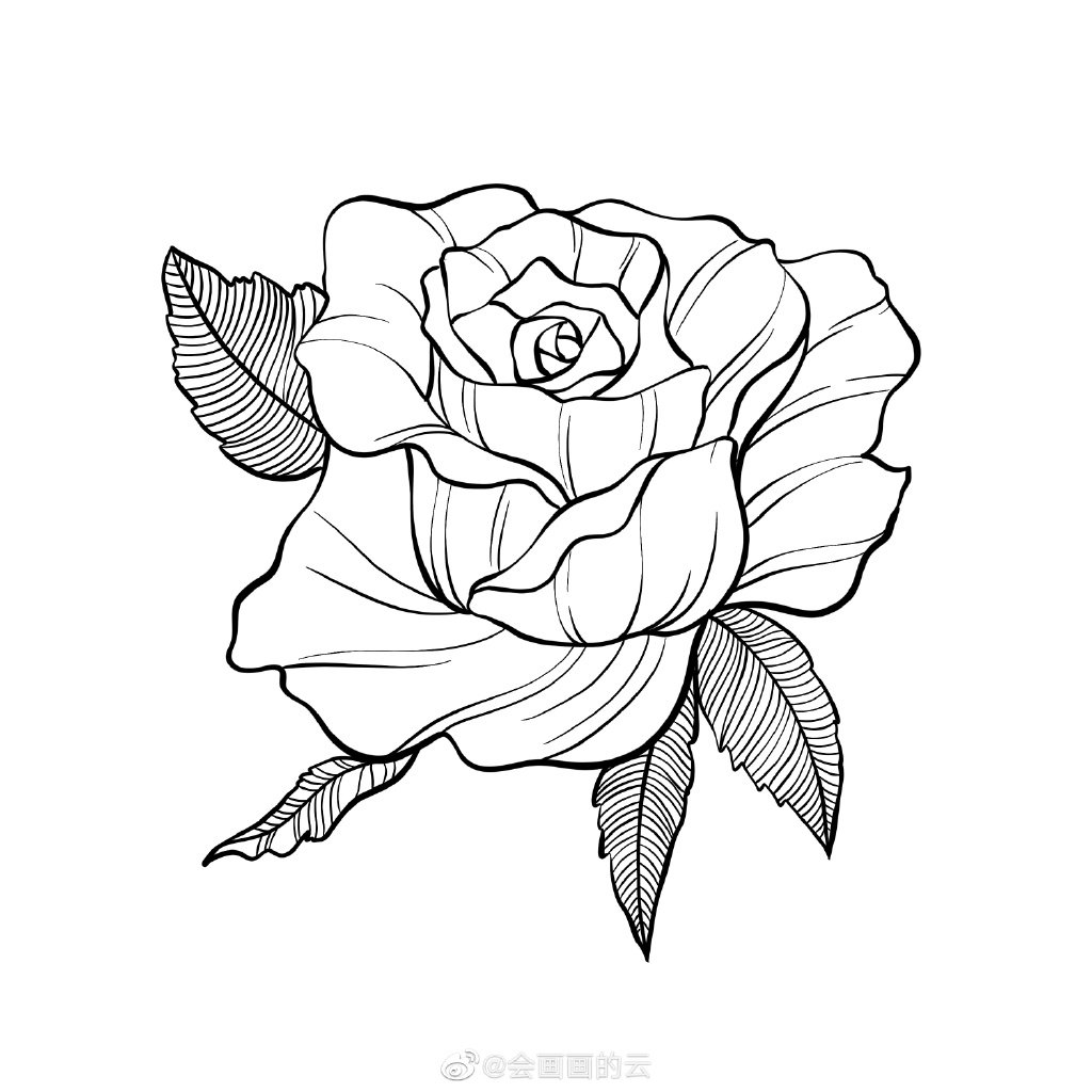 一学就会的简笔画 玫瑰花简笔画画法步骤