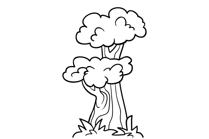 各种树木的画法