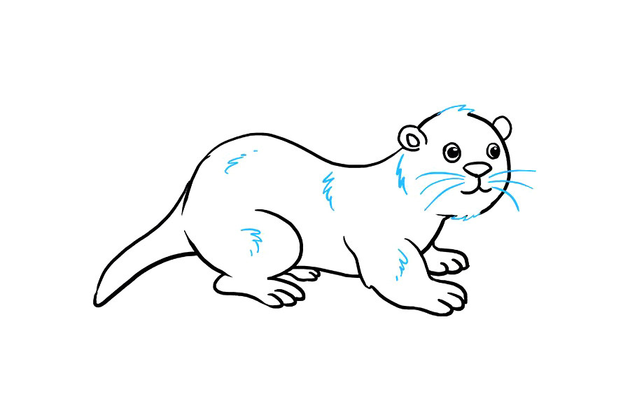 如何画水獭