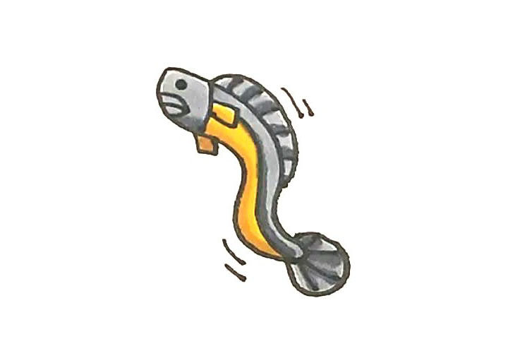 鳗鱼简笔画画法步骤