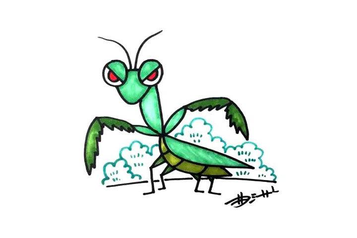 螳螂简笔画画法步骤