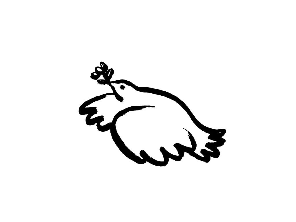 鸽子简笔画图片
