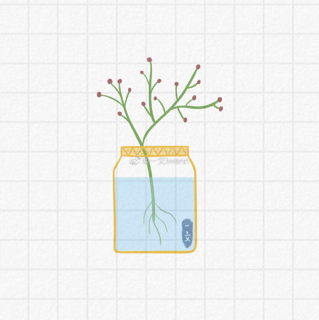 小清新的水培植物简笔画图片
