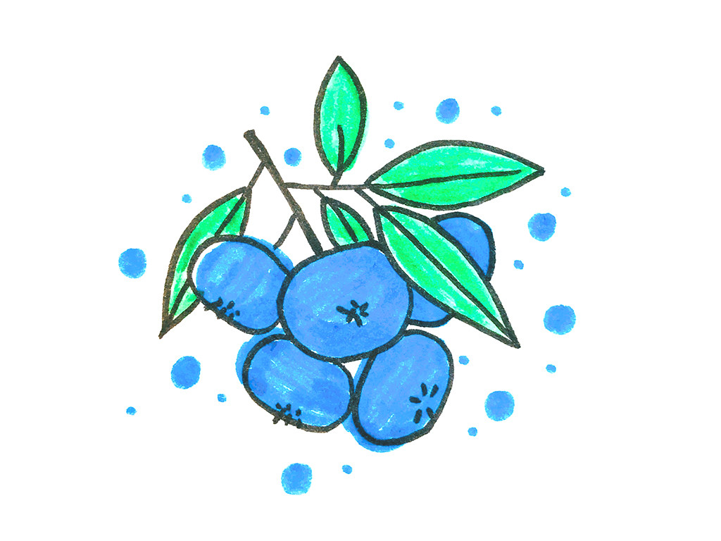 一组漂亮的水果简笔画