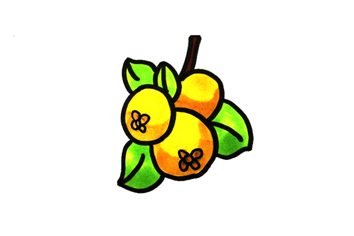 枇杷怎么画