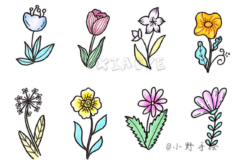 草长莺飞 春天漂亮的花草简笔画图片