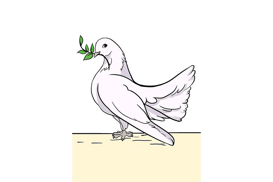 鸽子怎么画