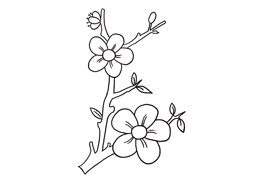 桃花简笔画画法步骤